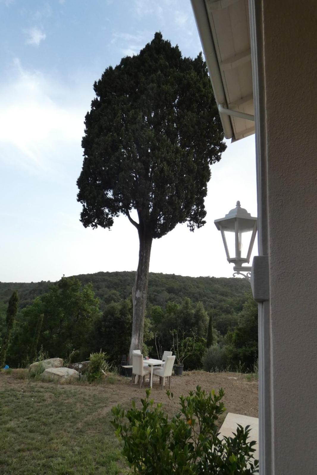 B&B Il Vecchio Molino Quercianella Ngoại thất bức ảnh